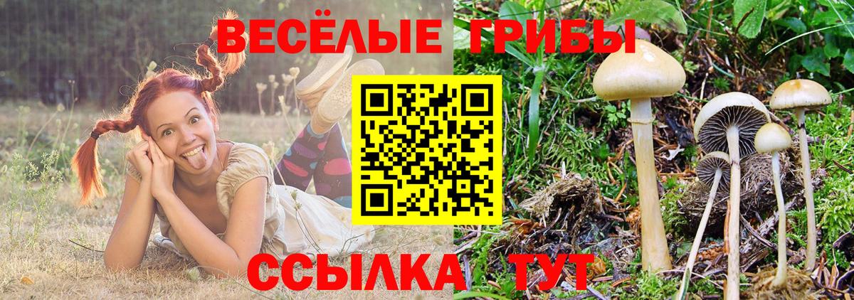 Галлюциногенные грибы мухоморы  Галлюциногенные грибы Cubensis  что такое   Вход с VPN  Калининград 